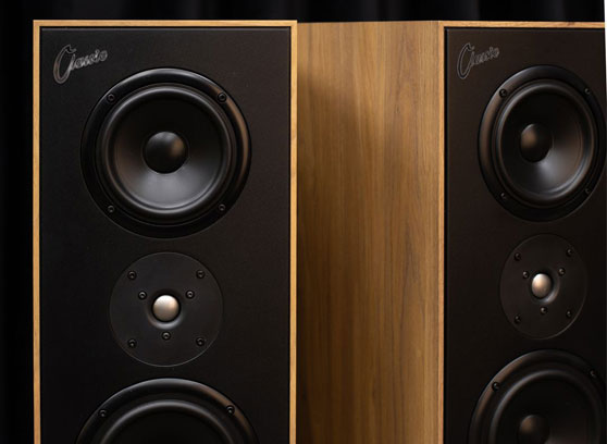 Tonsil Maestro Classic - cecha 1